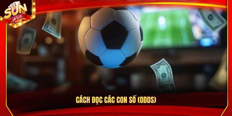 Kèo 1x2 Là Gì? Cách Đặt Cược Chi Tiết Nhất Cho Newbie 3 Hướng dẫn cách đọc các con số tỷ lệ cược (Odds)