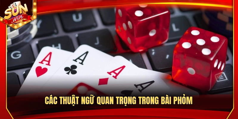 Những thuật ngữ cần biết khi chơi phỏm