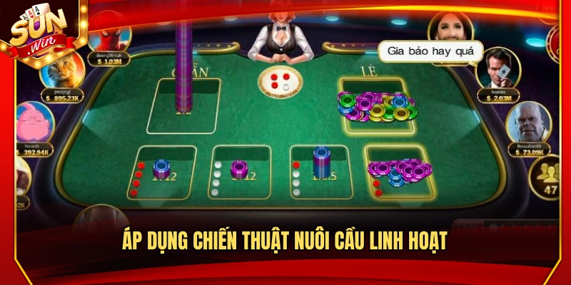 Vận dụng mẹo dò cầu xóc đĩa nuôi cầu linh động