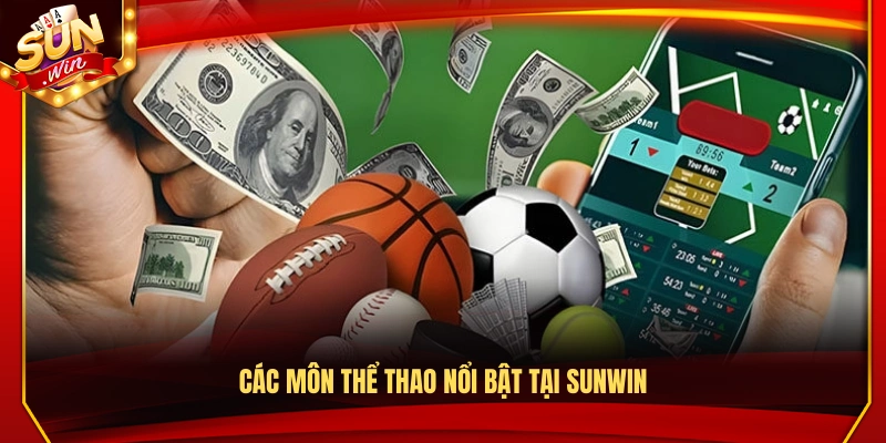 Thể Thao Sunwin – Sân Chơi Kèo Cược Sôi Động Mỗi Ngày 2 Những môn thể thao phổ biến tại Sun Win