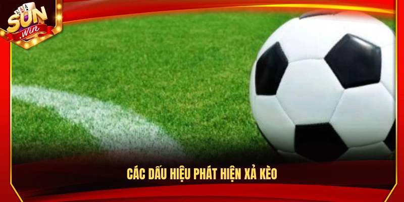 Những dấu hiệu giúp nhận biết tình trạng xả 